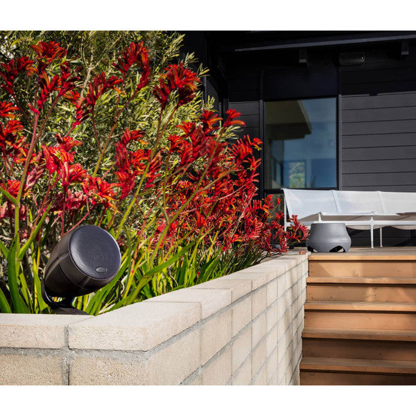 Polk Audio Atrium Sub 100 10" Outdoor Subwoofer