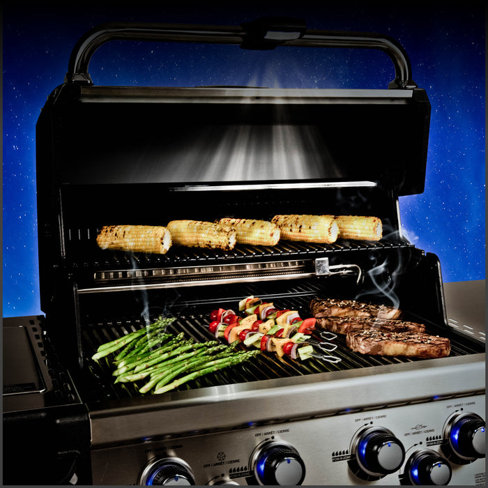 Regal iQue Gas Grill 690 PRO IR